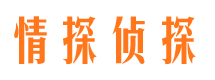 大方私家调查公司